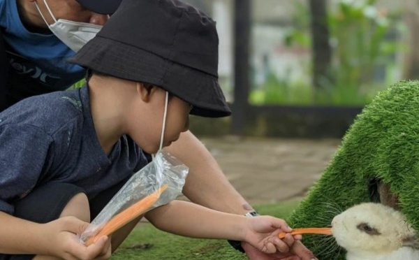 Tempat Liburan Dengan Edukasi Terbaik Bagi Anak